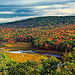 Bear Creek Preserve (Dry Land Hill) (2)