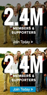 2.4 Members &amp; Supporters