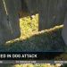 Local Pit Bull Owner Drops Lawsuit Against Victims of Dog Attack