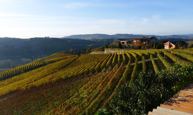 Pira Luigi, a small winery where the author sampled three Barolos for free.