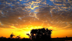 Sunset in rural India