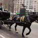 City Could Ban Horse-Drawn Carriages As Soon As May 2016