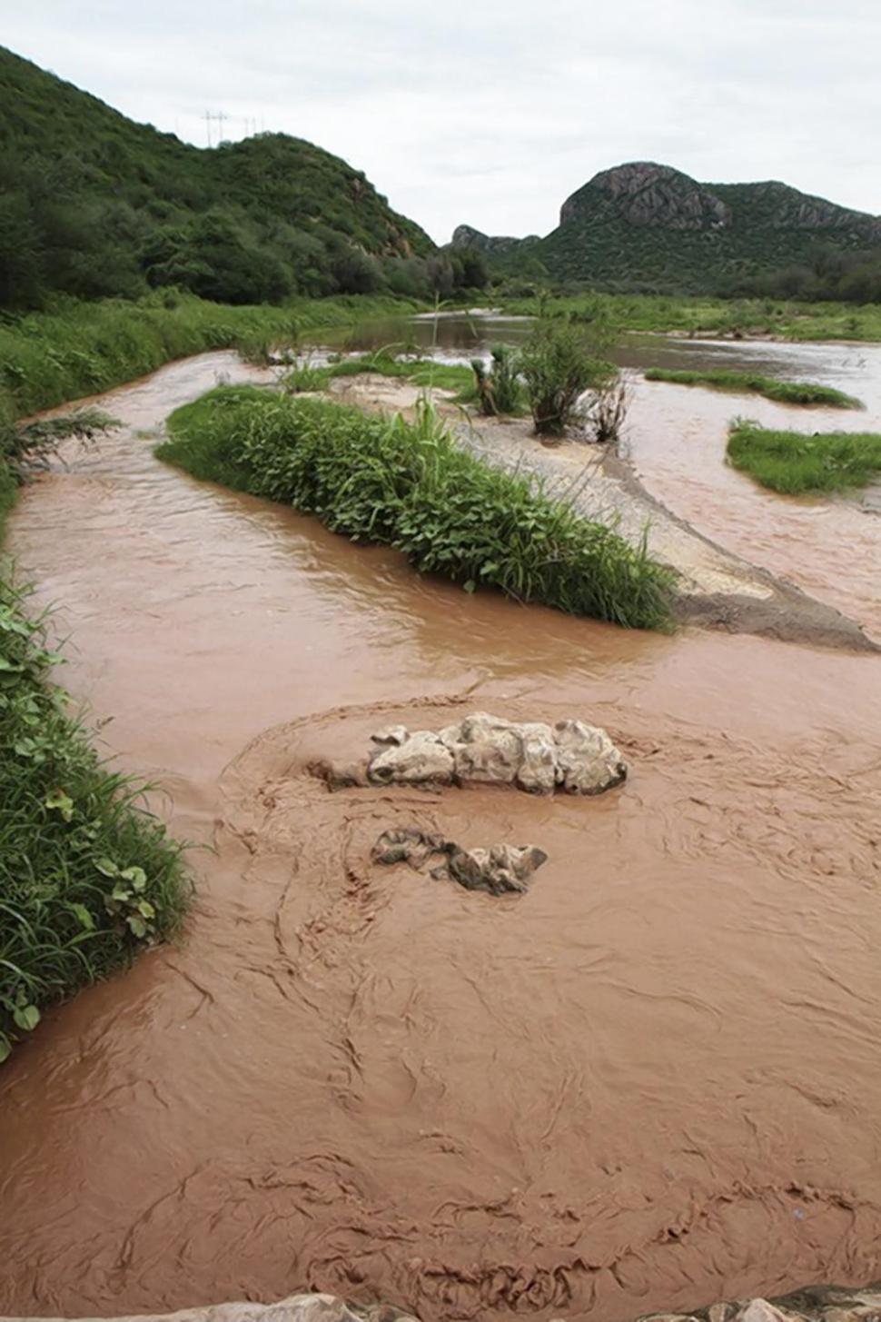 Now, officials are working to de-acidify the rivers.
