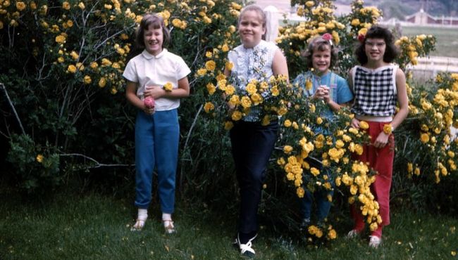 Crockett family girls, 1966, Rifle, Colorado. 