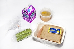 The Summer Food Program began Monday, June 7, 2010. This meal, served at the Austin Boys and Girls Club South, consisted of a half-pint of milk, a ham sandwich on wheat bread with mustard, celery and an assorted fruit cup. 