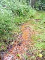 Acid mine drainage near the Spruce Road in northeastern Minnesota