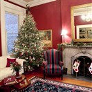  The living room with Christmas tree and decorated fireplace. 