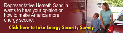 Energy Security Survey