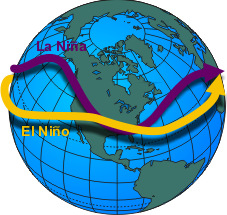 El vs. La El Niño(a)