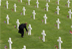 Remembering and Commemorating Veterans