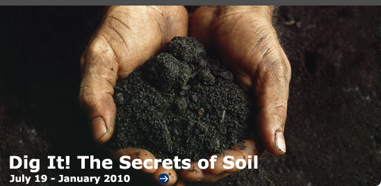 Dig It! The Secrets of Soil