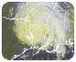 Hurricane satellite image