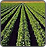 Agriculture thumbnail