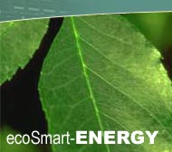 ecoSmart-Energy