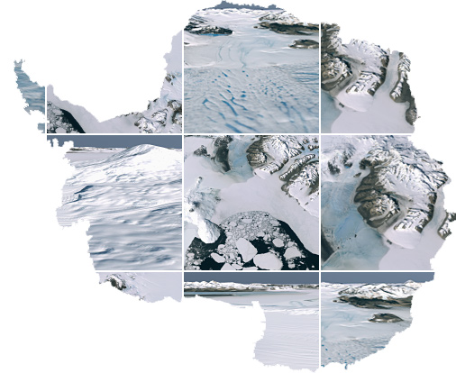 Collage of Antarctica