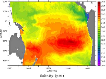 December 2004 Pacific Ocean simulated surface salinity