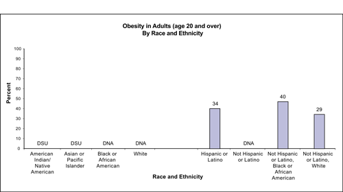 Figure 12 depicts data for the following eight racial/ethnic groups: (1) American Indian/Native American, (2) Asian or Pacific Islander, (3) Black or African American, (4) White, (5) Hispanic or Latino, (6) Not Hispanic or Latino, (7) Not Hispanic or Latino, Black or African American, and (8) Not Hispanic or Latino, White.  The figure compares obesity in adults age 20 and over by race and ethnicity and shows that obesity is greater in Not Hispanic or Latino Blacks or African Americans (40%) and Hispanics or Latinos (34%) than in Not Hispanic or Latino Whites (29%). Data were not collected for Blacks or African Americans, Whites, and Not Hispanics or Latinos. Data for American Indians/Native Americans and Asians or Pacific Islanders do meet criteria for statistical reliability, data quality, or confidentiality.