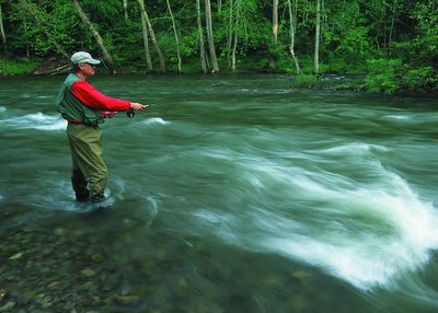 Man fishing in a stream