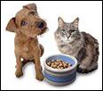 Dog and cat seated near bowl of pet food