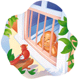 Picture of a baby looking out of a window that has a safety device installed on it