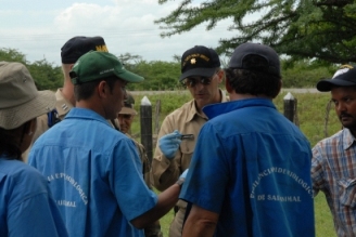 LT Larry Sproul of the U.S. Navy serves as an interpreter between Nicaraguan personnel and LCDR Gregory Langham, veterinarian, as they discuss the best course of treatment for a pregnant cow.  The individuals with blue shirts are instructors and representatives from the Nicaraguan Ministry of Agriculture and Forestry.