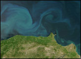 Black Sea Phytoplankton Bloom