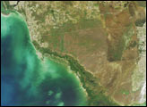 Southern Florida’s River of Grass