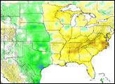2007 Rainfall Patterns in United States