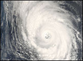 Category 4 Typhoon Usagi