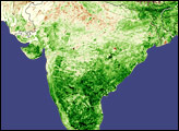 Monsoon Spurs Indian Green-up