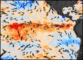 El Niño, the Usual Suspect?