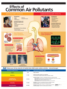 Poster of: Effects of Common Air Pollutants