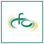 CFO Academy