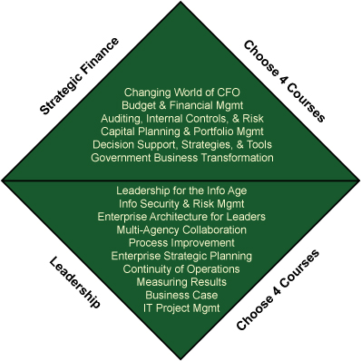 Government Strategic Leader Certificate Course Triangle