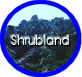 Shrubland -- You are here