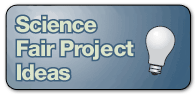 Science Fair Project Ideas