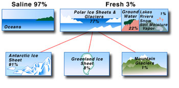 Composition of Polar Ice