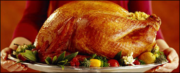 Photo: It's Turkey Time!