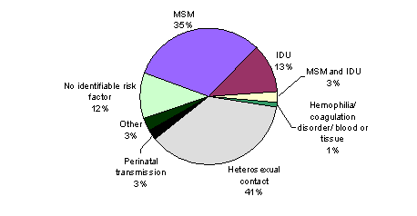 Pie Chart containing the following data...
MSM, 114,118
IDU, 42,756
MSM and IDU, 8,552
Hemophilia/ coagulation disorder/ blood or tissue, 4,233
Heterosexual contact, 132,279
Perinatal transmission, 9,356
Other, 11,142
No identifiable risk factor, 38,927
