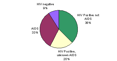 Pie Chart containing the following data...
HIV Positive not AIDS, 362,797
HIV Positive, unknown AIDS, 193,202
AIDS, 322,082
HIV negative, 86,902