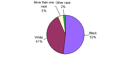 Pie Chart containing the following data...
Black, 467,467
White, 372,907
More than one race, 42,635
Other race, 17,049