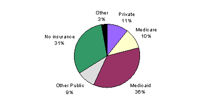 Pie Chart containing the following data...
Private, 85,541
Medicare, 80,646
Medicaid, 287,990
Other Public, 72,930
No insurance, 251,492
Other, 22,484