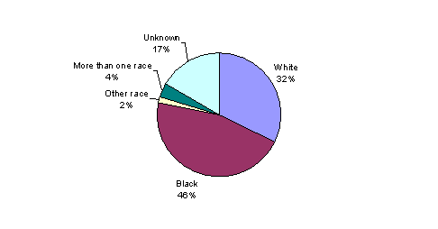 Pie Chart
White, 32%
Black, 46%
Other race, 2%
More than one race, 4%
Unknown, 17%