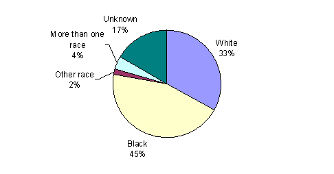 Pie Chart containing the following data...
White, 278,402
Black, 375,403
Other race, 13,377
More than one race, 32,243
Unknown, 140,996