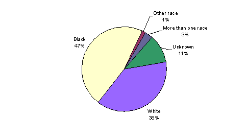 Pie Chart containing the following data...
White, 38%
Black, 46%
Other race, 1%
More than one race, 3%
Unknown, 11%