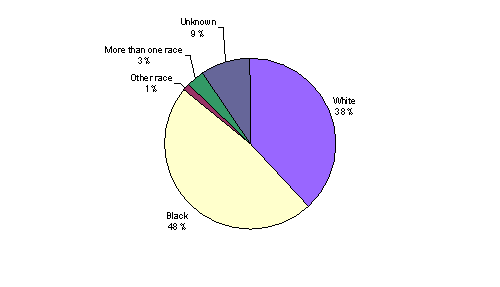 Pie Chart containing the following data...
White, 38%
Black, 48%
Other race, 1%
More than one race, 3%
Unknown, 9%