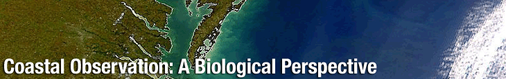 Coastal Observations: A Biological Perspective Header