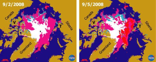 Recent State of Arctic Sea Ice