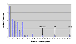 [Bar chart of Explorer lifetimes (Feb. 1998)]