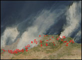 Forest Fires in Algeria